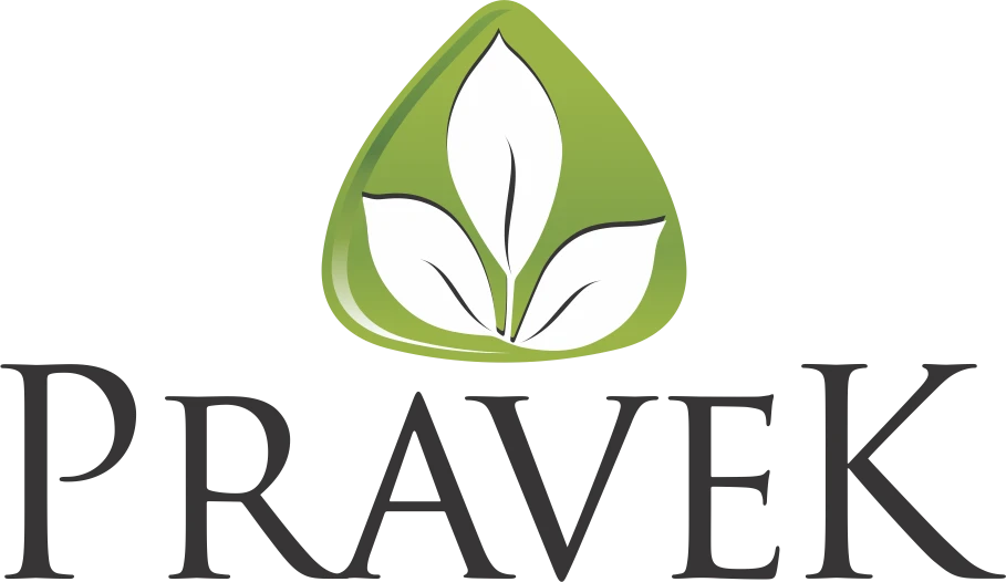 Pravek-Logo